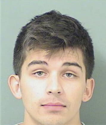 Owen Nunezseverino, - Palm Beach County, FL 